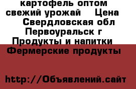 картофель оптом (свежий урожай) › Цена ­ - - Свердловская обл., Первоуральск г. Продукты и напитки » Фермерские продукты   